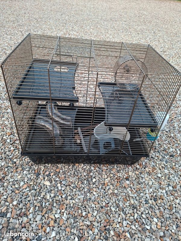 Cage hamster (image 2)