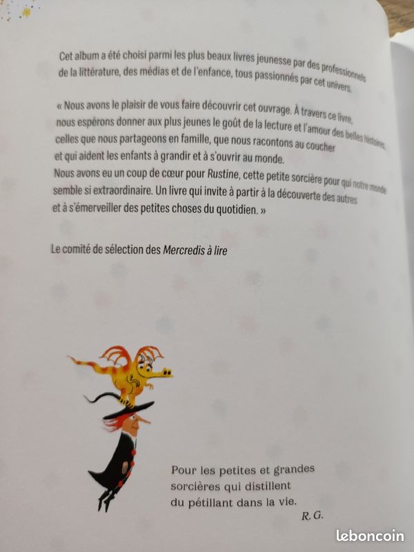Rustine sorcière ordinaire (image 3)