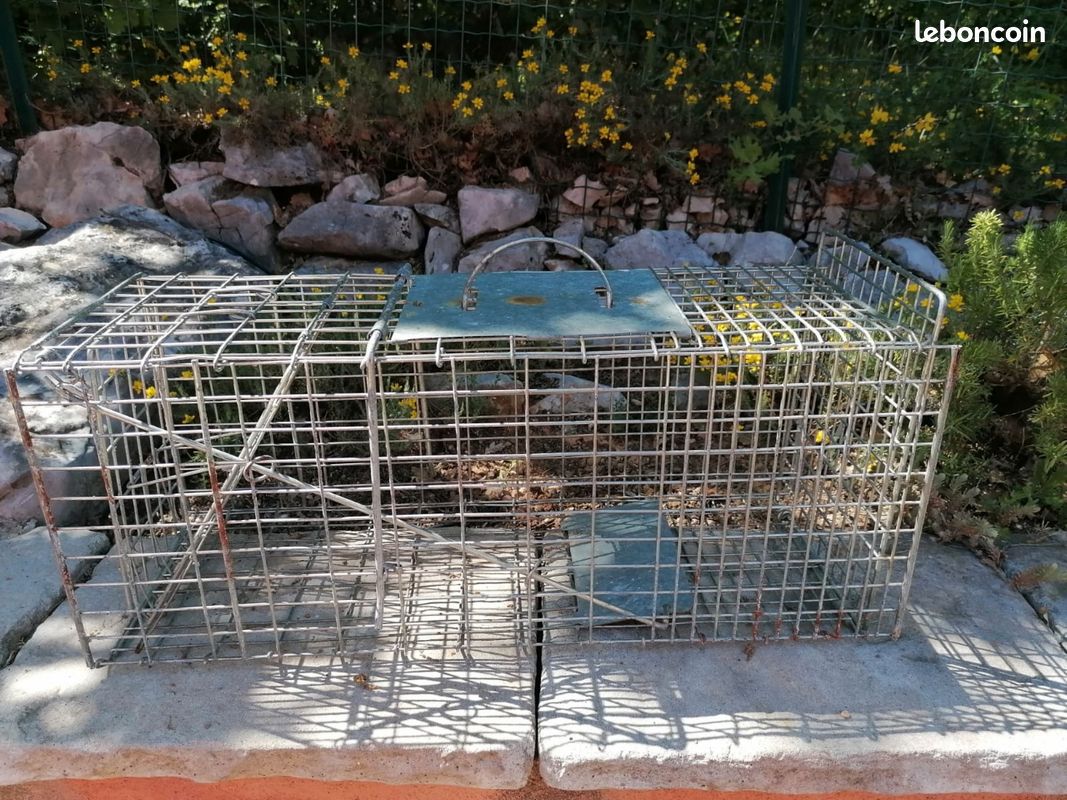 Cage de piégeage 65 cm (Capture vivante) (image 4)