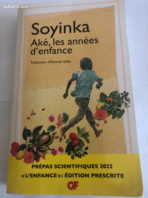 Soyinka Ake les années d’enfance (image 1)