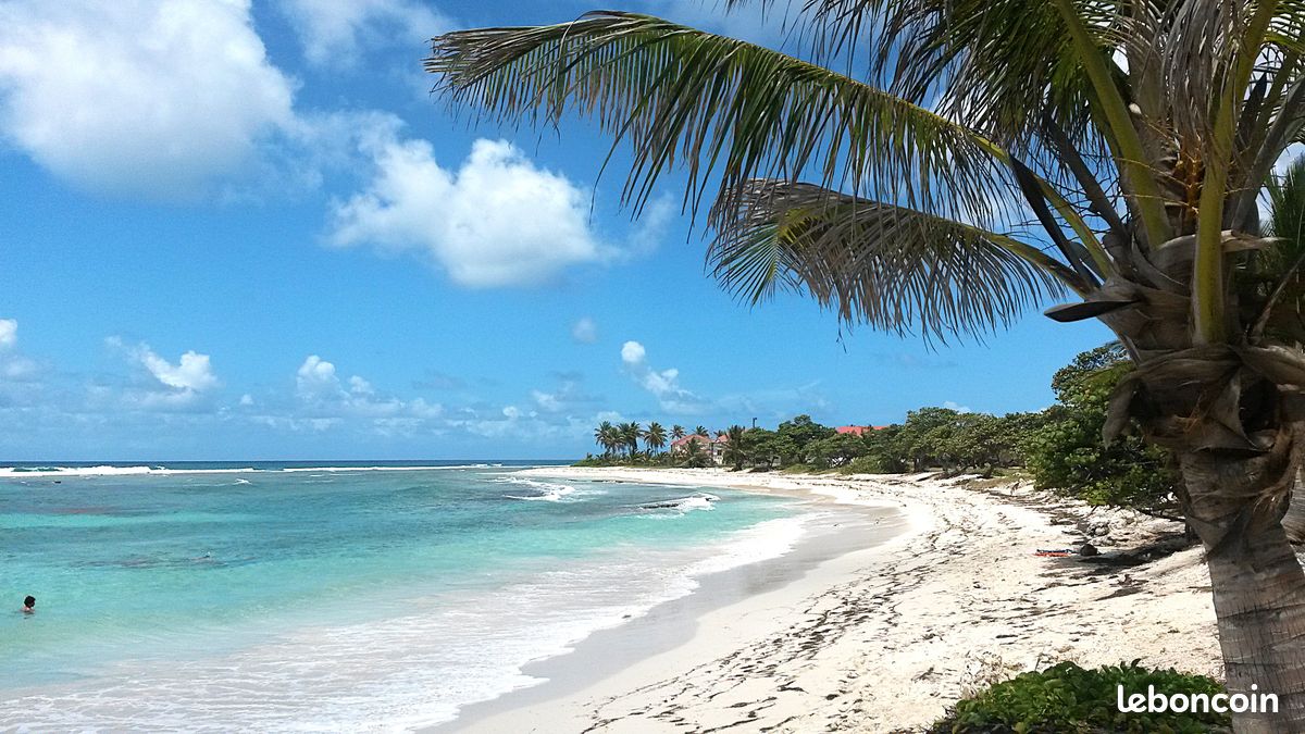 Appartement Courbaril Charmant et spacieux T3 en bord de mer accès direct plage (image 17)