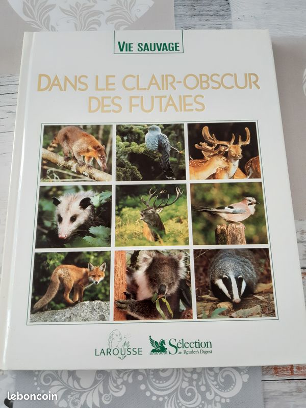 Vie sauvage / dans le clair obscur des futaies (image 1)