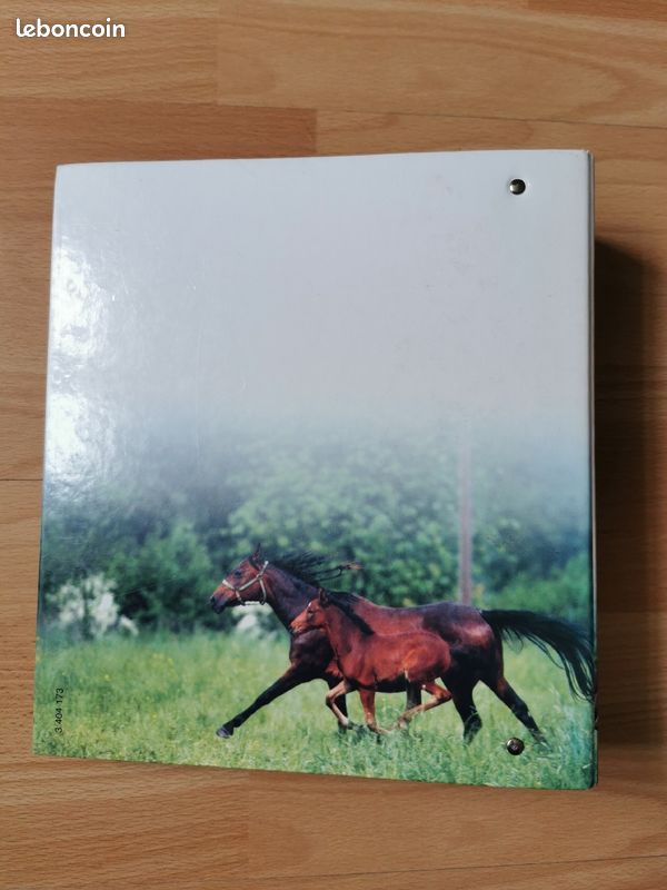Équitation, La passion du cheval, Éditions Atlas (image 2)