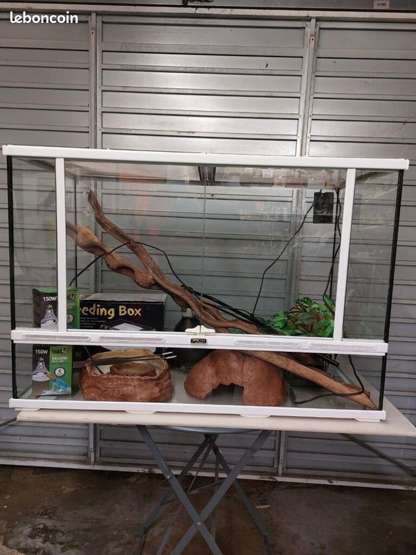 Terrarium (image 1)