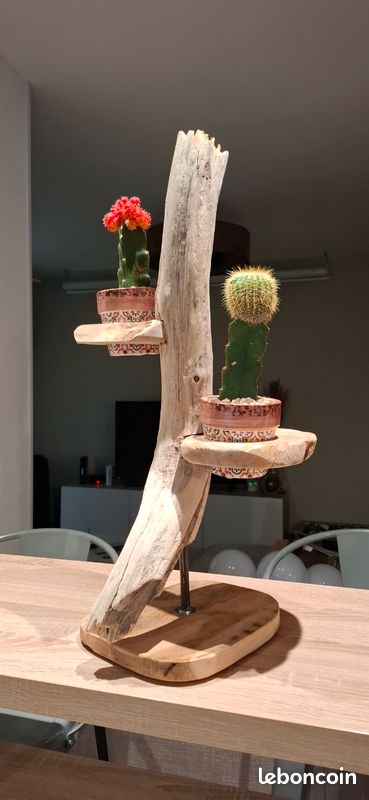 Déco bois flotté (image 1)