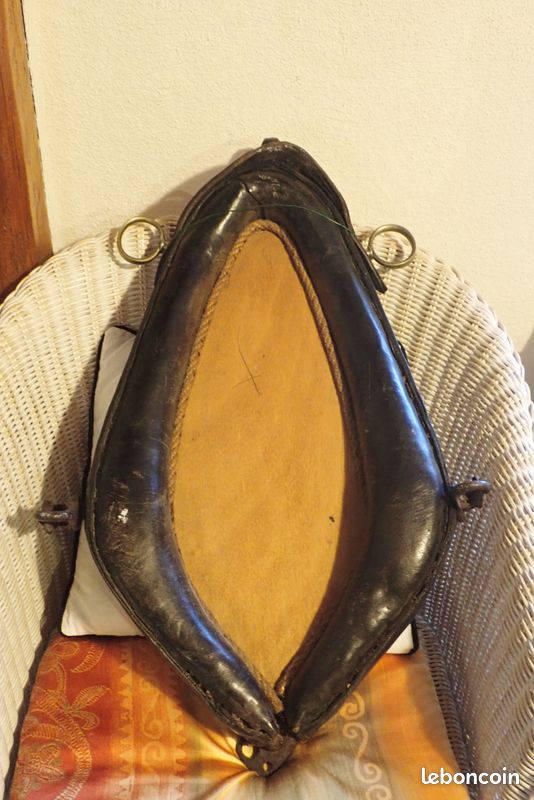 Collier de cheval (image 2)