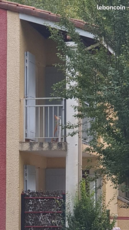 Loue jolie T2 dans un écran de verdure 04000 (image 10)
