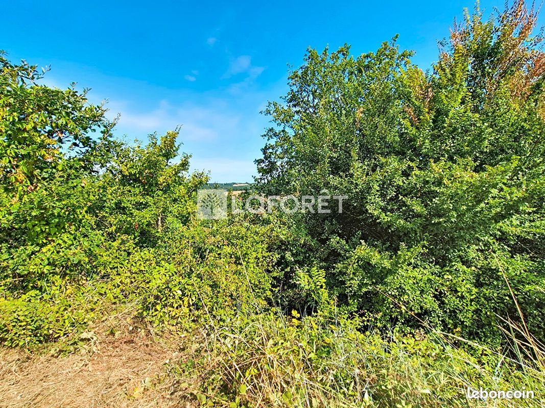 Terrain 3513 m² · à Monclar-de-Quercy · 3 513 m² · 99 500 €