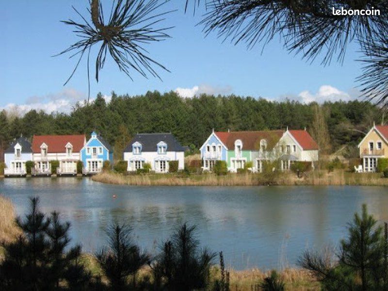 50 m de la plage (image 12)