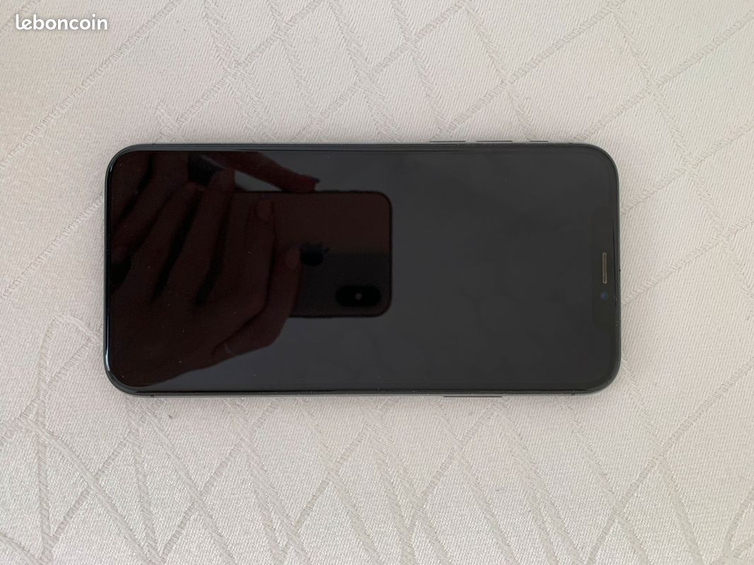 IPhone X 256Go gris sidéral TBE (image 1)
