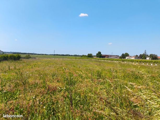 Terrain 995 m² Sainte Lheurine