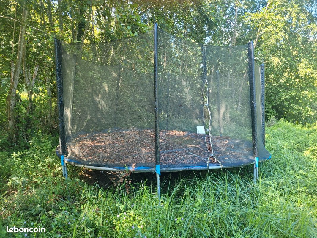 Trampoline (image 1)