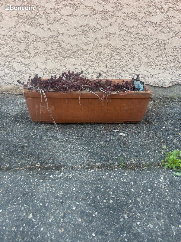 Bac à fleurs en terre cuite (image 3)