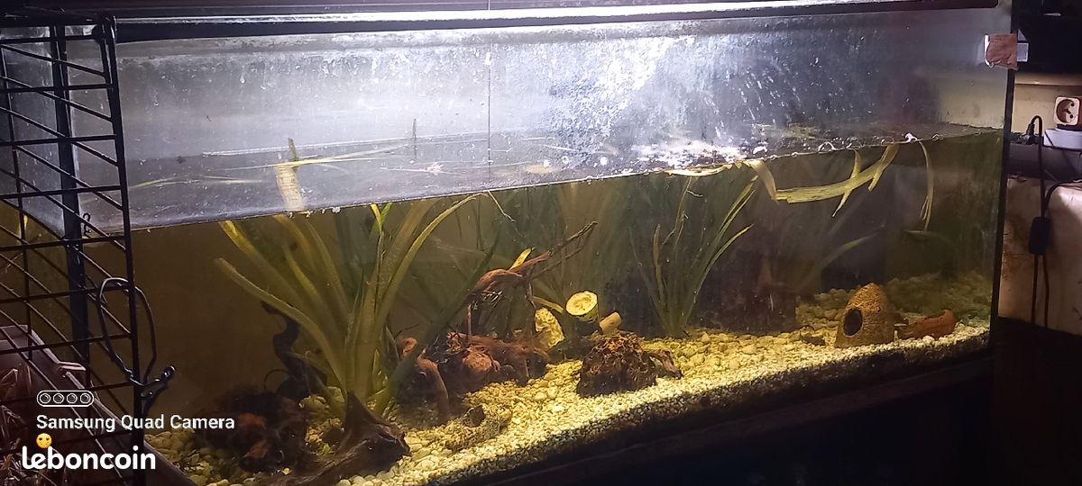 Aquarium (image 1)