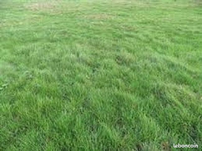 Terrain 645 m² Ury · 125 000 €