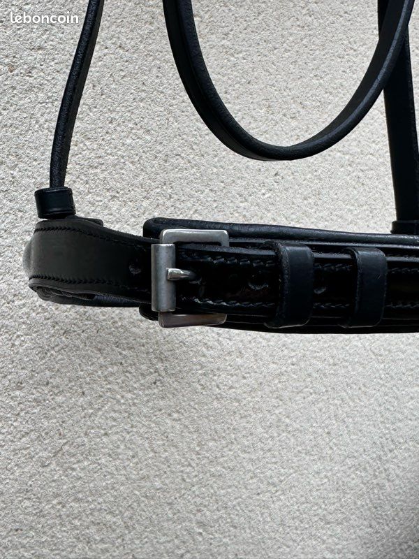 Muserolle compatible bridon Antarès (image 5)