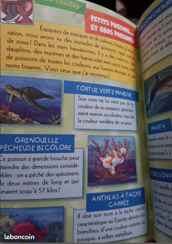 Téa STILTON grand livre 15 " Opération HAWAÏ " - jti1 (image 2)