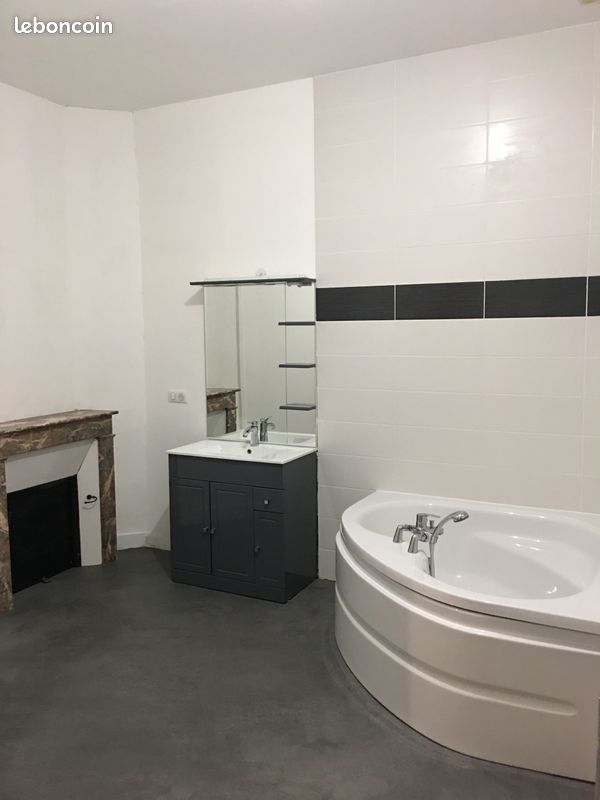 Beau et lumineux t3 refait a neuf quartier mairie - Limoges 87000 (image principale 2)