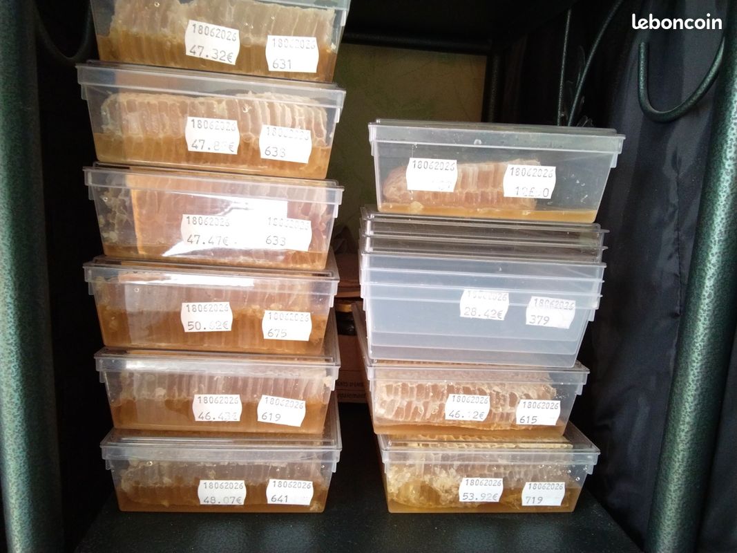Vente de miel en rayon (image 1)