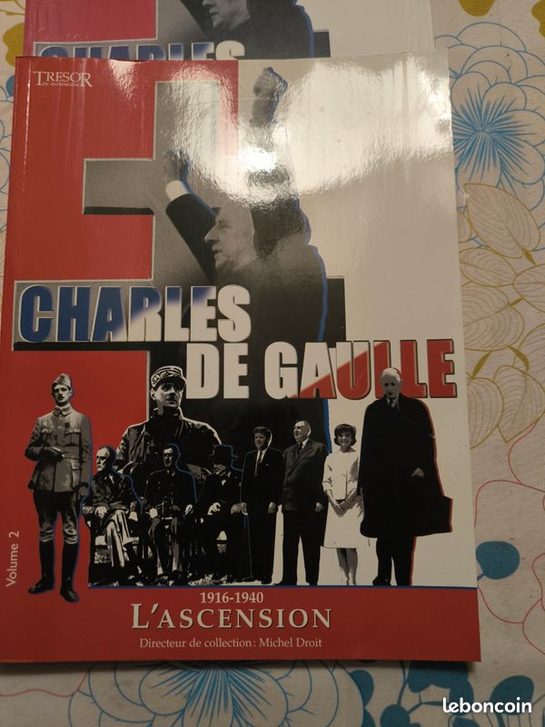 Charles de Gaulle 1916 1940 l'ascension Michel Droit lyriade (image 1)