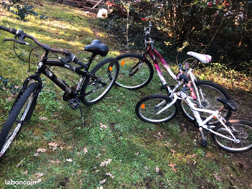 Vélo vtt (image 3)