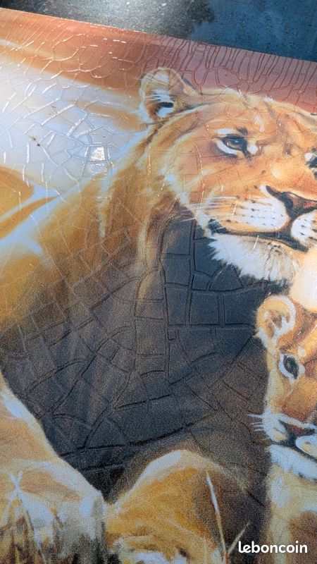 Photo lionne avec ses lionceaux (image 3)