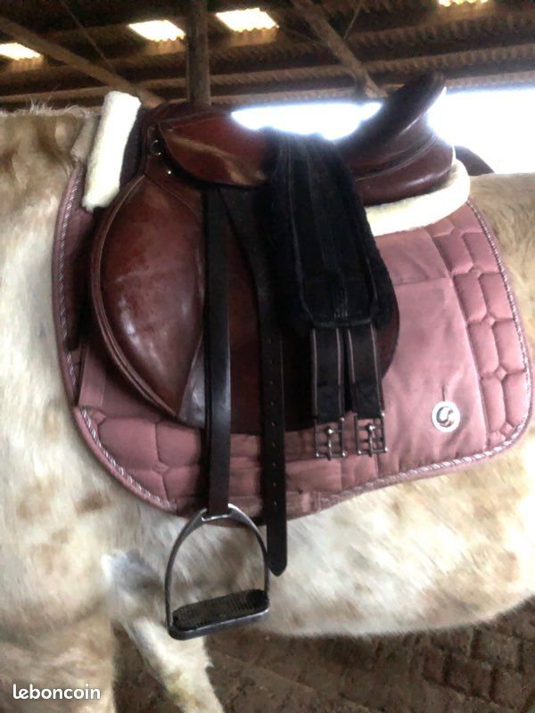 Selles à vendre (image 1)