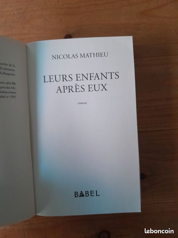 Nicolas Mathieu, Leurs enfants après eux (image 3)