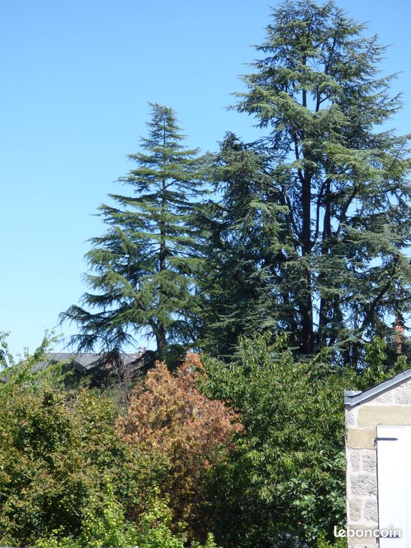 Appartement 3 pièces 52 m² · à Brive-la-Gaillarde · 52 m² · 622 €