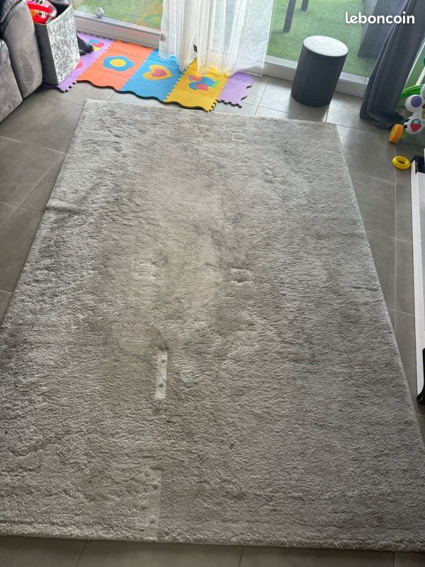 Tapis salon (image 1)