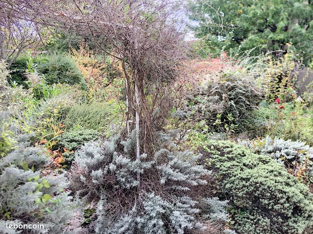 Maison a louer brunoy - 4 pièce(s) - 65 m2 - Surfyn