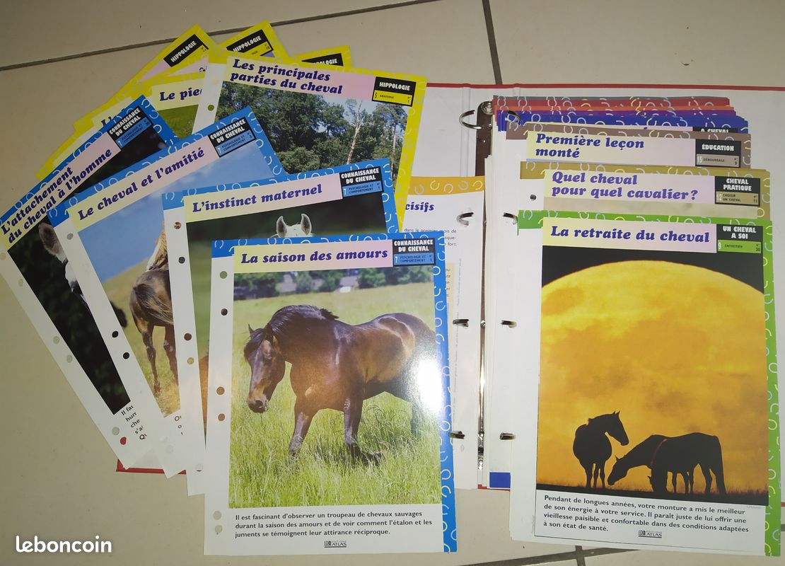 60 fiches sur le cheval (image 1)
