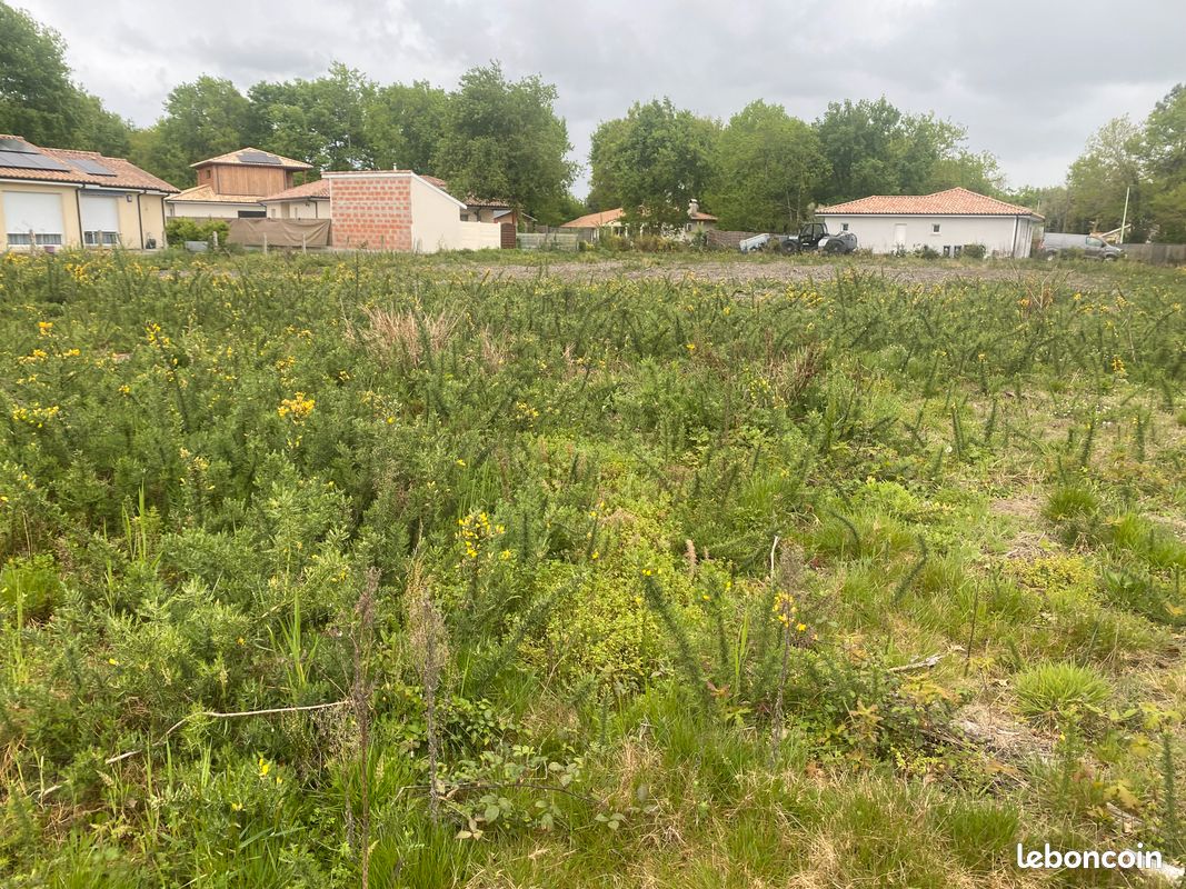 Terrain viabilisé Biganos centre · 215 000 €