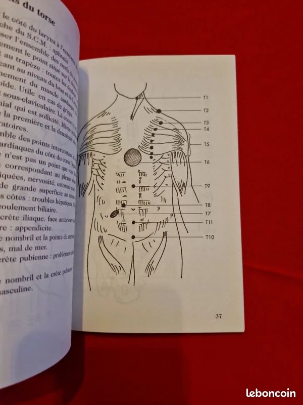 Les points de Knap - soulagement des douleurs stimulation vitale (image 5)