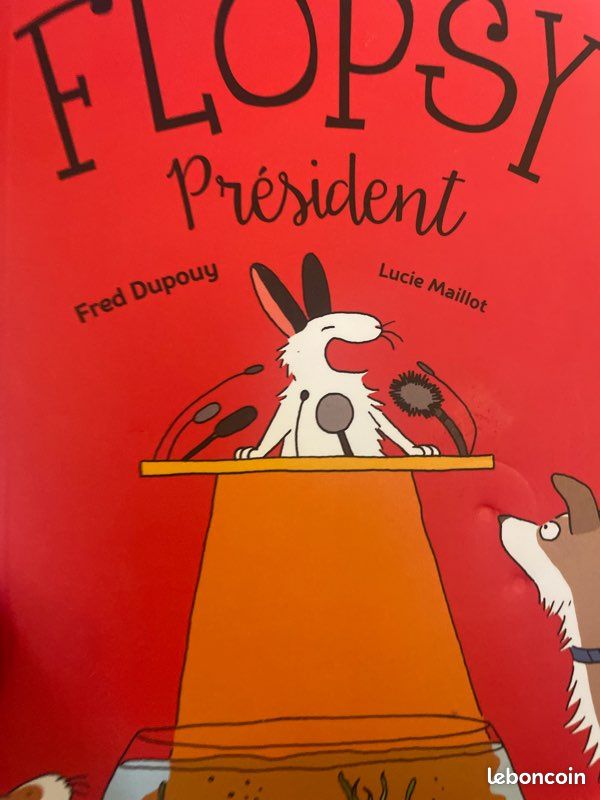 Flopsy Président (image 2)