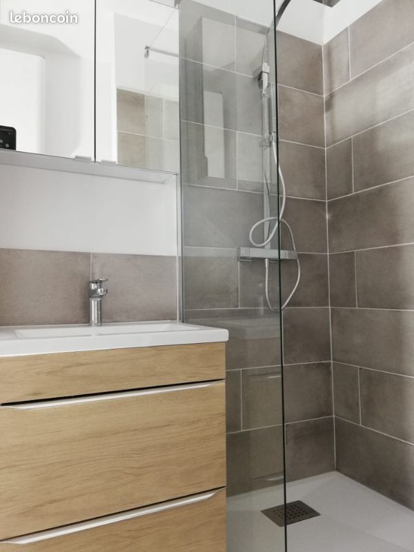 T1 secteur Mairie/Fac de Droit - Limoges 87000 Centre-Hôtel de Ville Emailleurs (image principale 2)