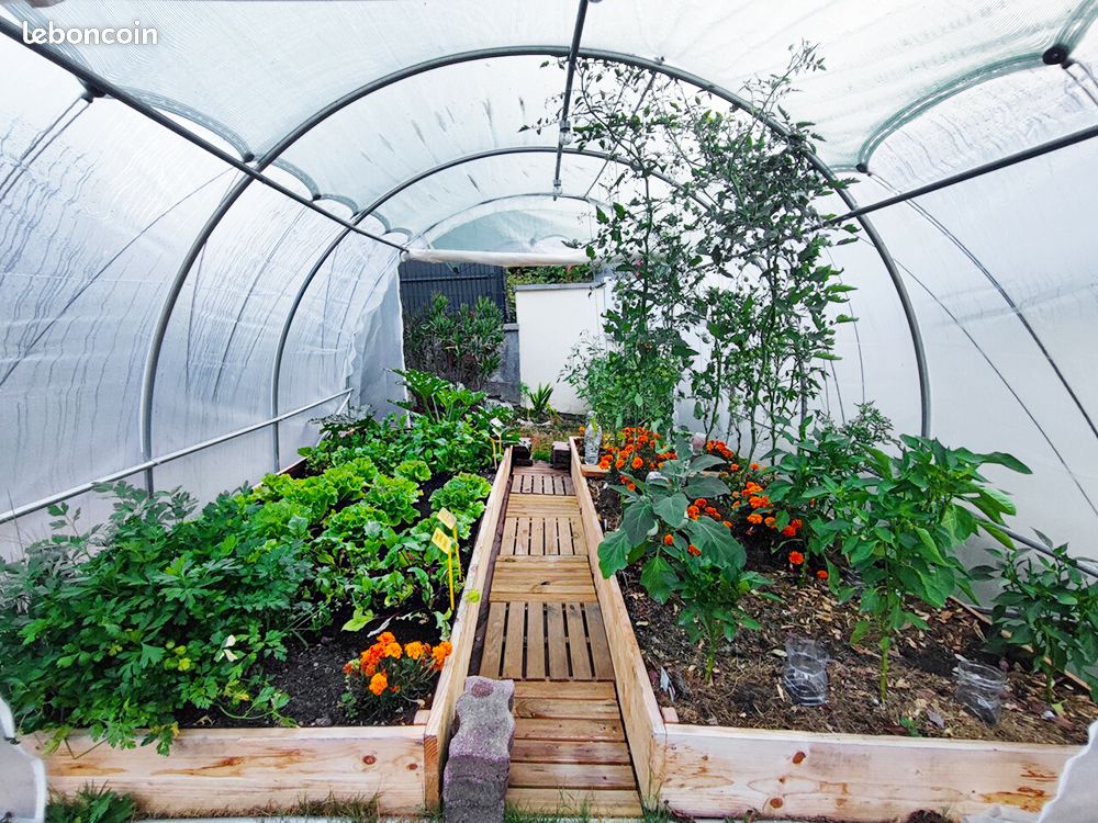 Serre de jardin tunnel 3x3m (9m²) diam.25mm avec bâche translucide et 1 porte enroulable (image 2)