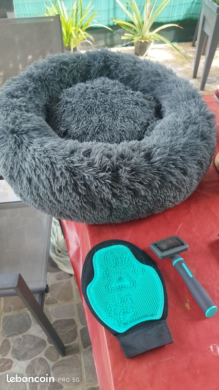 Accessoires et gamelles pour un chien (image 1)
