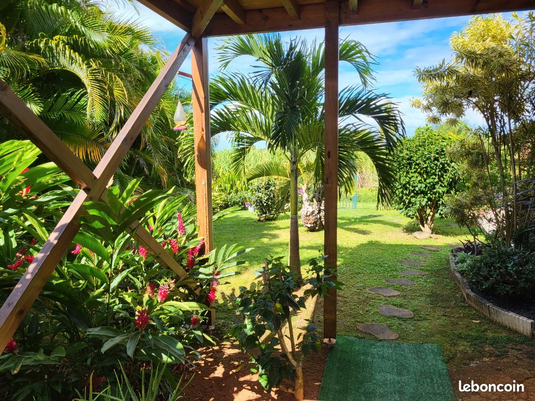 Location magnifique studio guadeloupe (image 19)