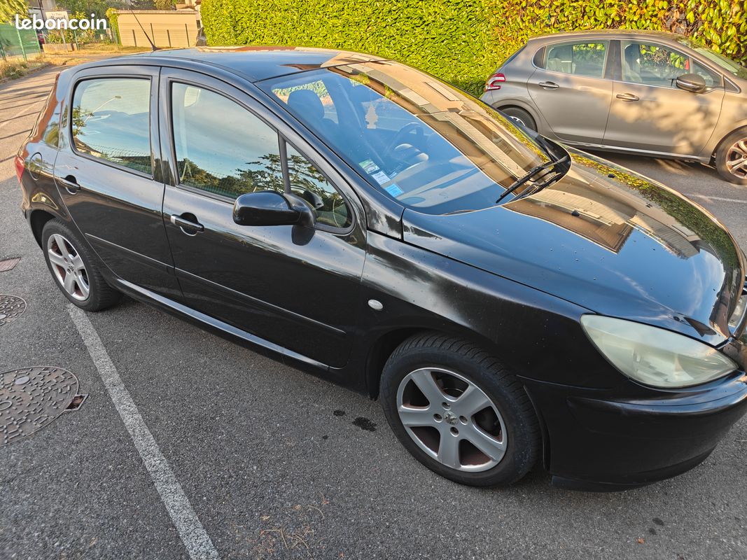 Peugeot 307 HDI 2.0 XS Premium 20044 (image 1)