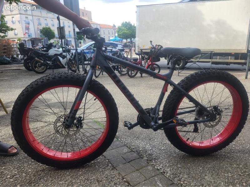 Fat Bike (image 1)