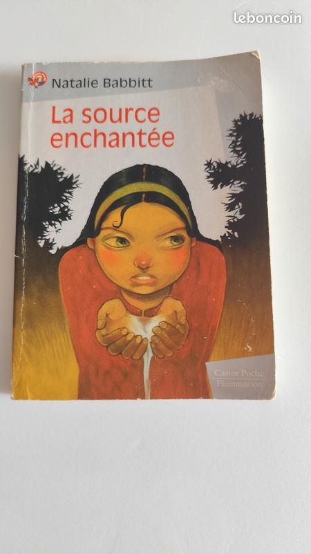 Livre La source enchantée (image 1)