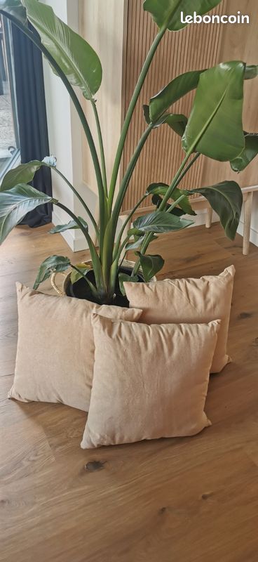 Trio de coussins (image 1)