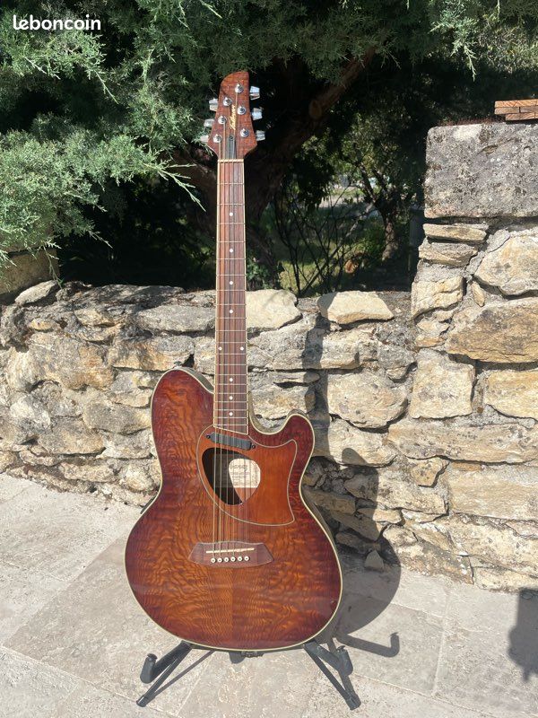 Guitare electro, Acoustic, Fender (image 1)