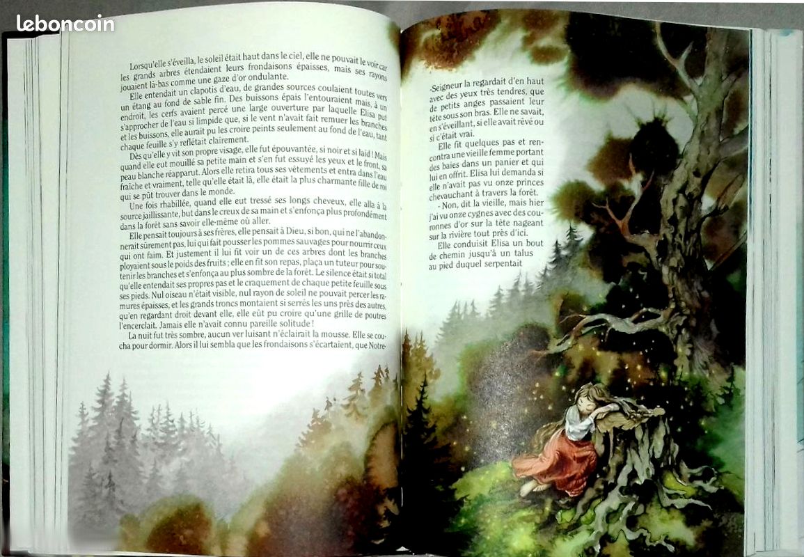 Contes d'ANDERSEN - Très beau livre illustré (image 3)