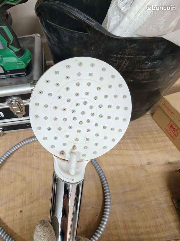 Pommeau de douche Hansgrohe + flexible (image 2)
