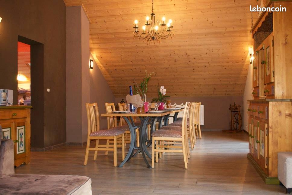 Eté - Hiver : Chalet-Appartement-Duplex pour 10/12 pers à Châtel (image 4)