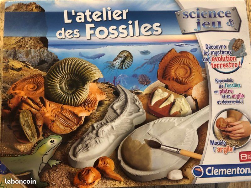Jeu Atelier des fossiles (image 1)