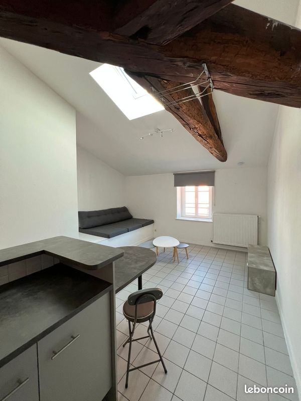 Appartement 2 pièces 38 m² · à Saint-Laurent-sur-Saône · 38 m² · 480 €
