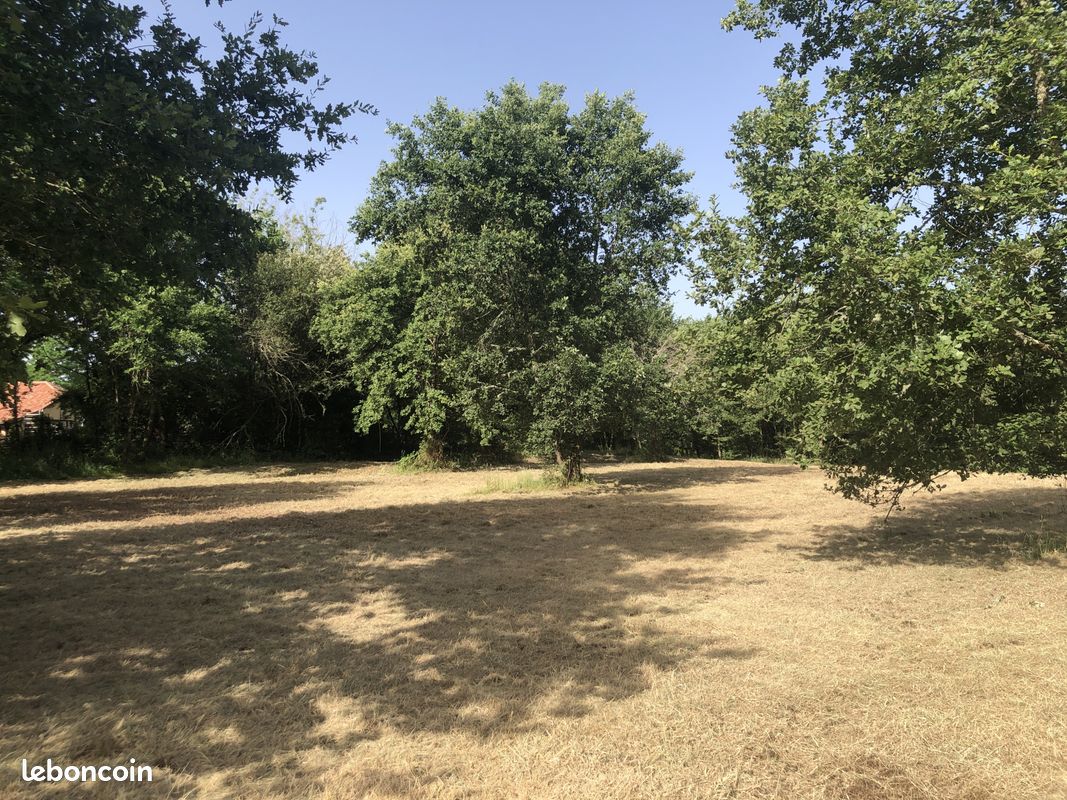 Terrain 8000 m² · à Cazaubon · 8 000 m² · 39 000 €